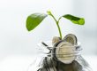 ¿Está tu empresa obligada a elaborar informe de información no financiera?