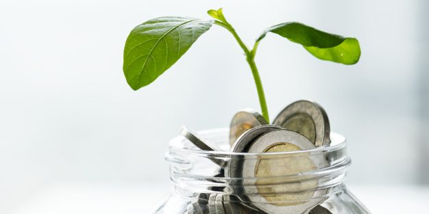 ¿Está tu empresa obligada a elaborar informe de información no financiera? ¿Está tu empresa obligada a elaborar informe de información no financiera?